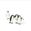 Emperor penguins are the largest of the penguin species and can grow to be 100 pounds. 