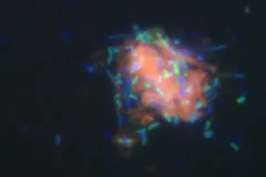 a large salmon colored orb with tiny fluorescent green and blue orbs covering it